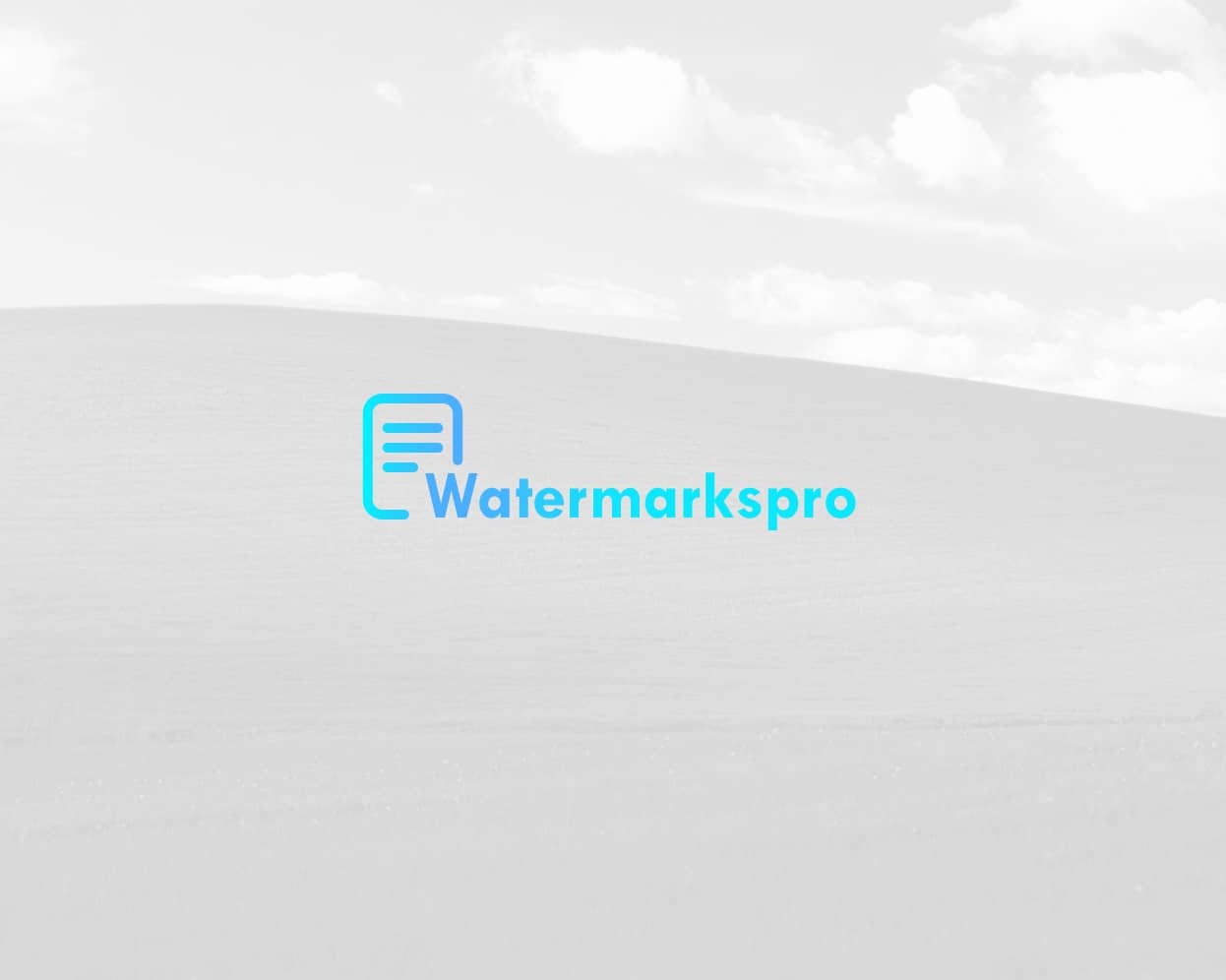 Login watermarks pro